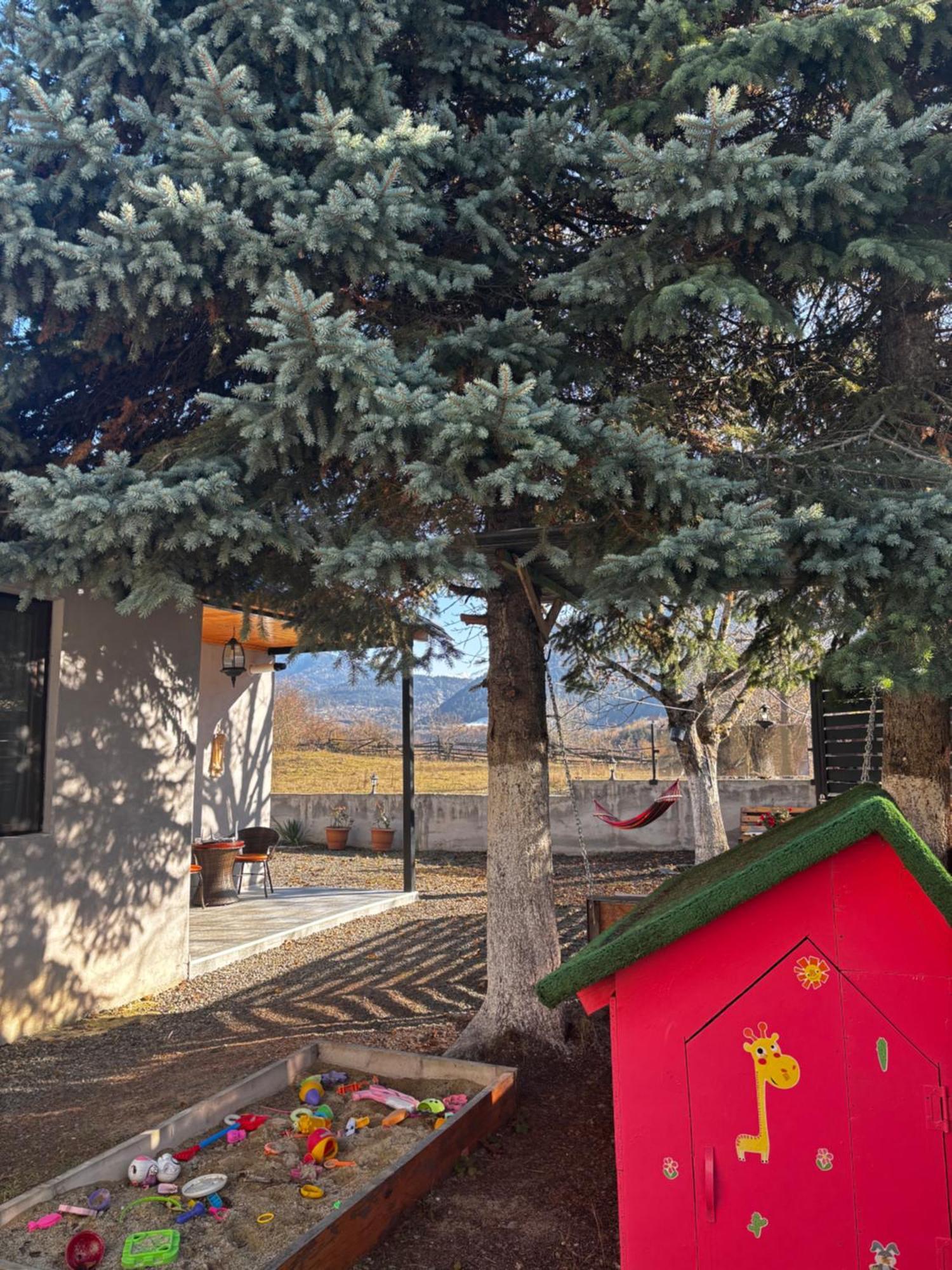 보르조미 Kesi'S House 빌라 외부 사진